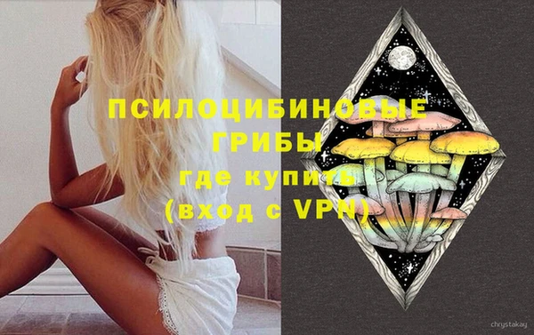 spice Алзамай