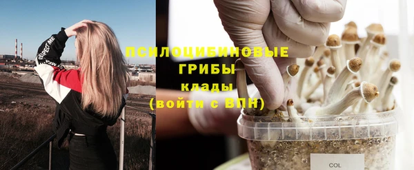 spice Алзамай