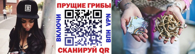 Галлюциногенные грибы Psilocybe Бобров